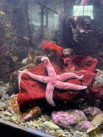 Sitka Sound Science Center photo 4