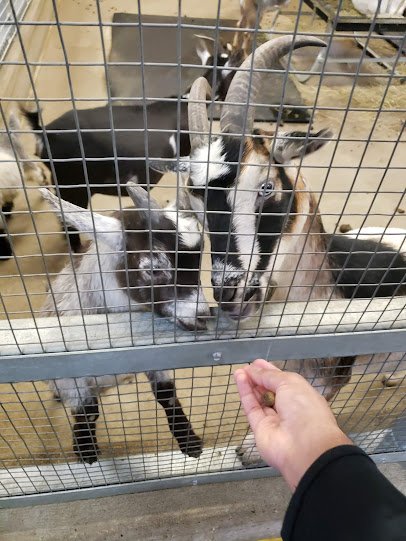 Bramble Park Zoo