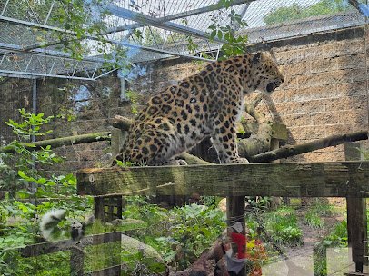 Bramble Park Zoo photo 3