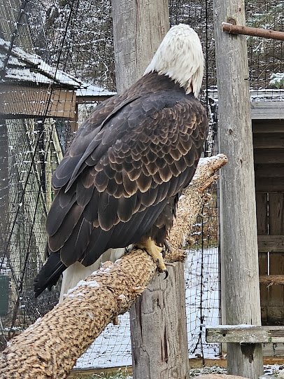 Bramble Park Zoo photo 5