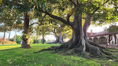 Rancho Los Alamitos Historic Ranch and Gardens
