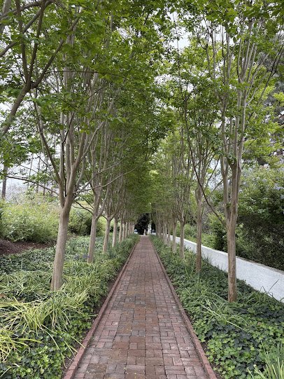 Rancho Los Alamitos Historic Ranch and Gardens photo 4