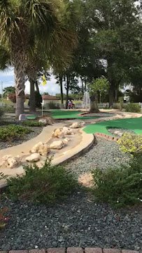 Tree Tops Golf photo 2
