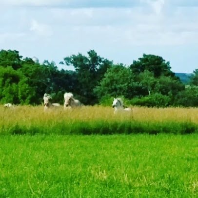 Havens Petting Farm photo 2