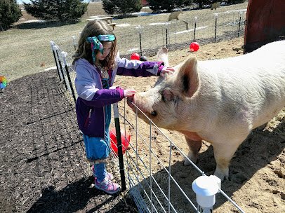 Havens Petting Farm photo 4