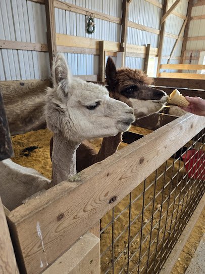 Havens Petting Farm photo 5