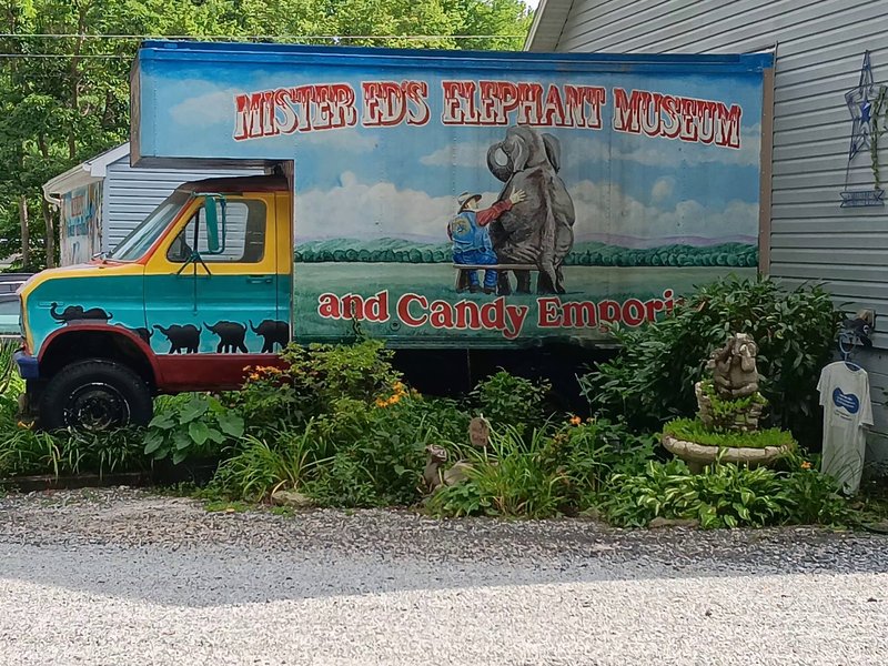 Mister Ed's Elephant Museum & Candy Emporium photo 5