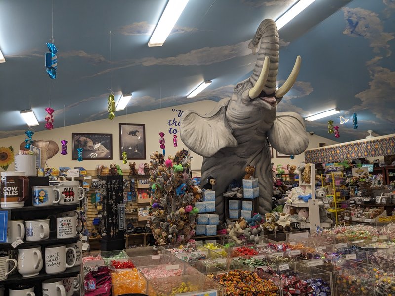 Mister Ed's Elephant Museum & Candy Emporium photo 6