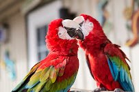 Cathy's Critters photo 5