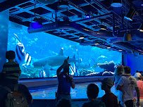 Audubon Aquarium photo 3