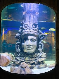 Audubon Aquarium photo 4