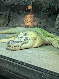 Audubon Aquarium photo 6