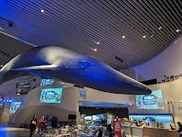 Aquarium of the Pacific photo 4