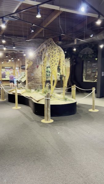 The Imperial Centre for the Arts & Sciences photo 2