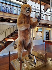 Pacific Grove Museum of Natural History photo 3
