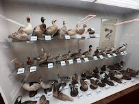 Pacific Grove Museum of Natural History photo 6