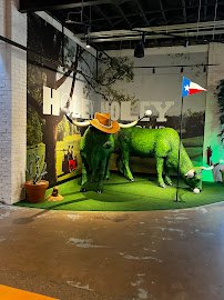 Holey Moley Golf Club Austin