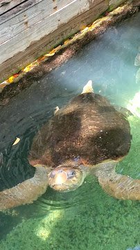 Key West Aquarium photo 2