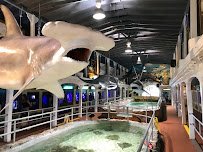 Key West Aquarium photo 3