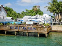 Key West Aquarium photo 4