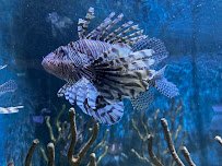 Key West Aquarium photo 5