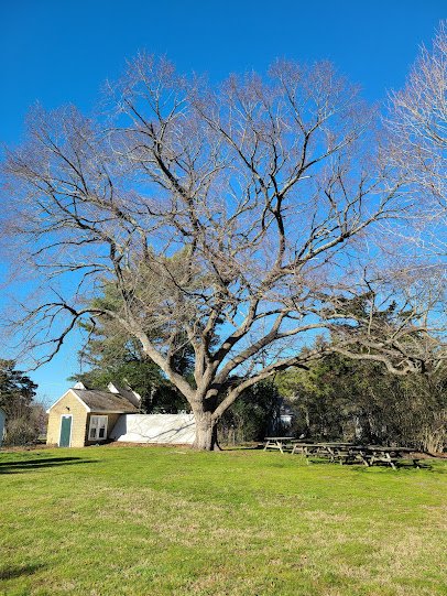 The Museum of Cape May County photo 5