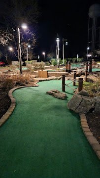 Mini-Golf at Bluegreen Vacations Paradise Point Resort photo 3