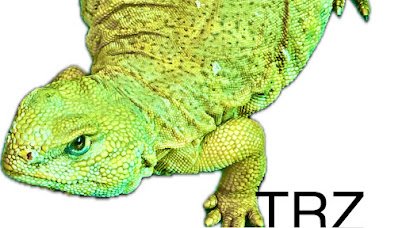 Texas Reptile Zoo