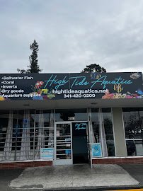 High Tide Aquatics