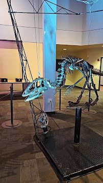 Don Harrington Discovery Center photo 2