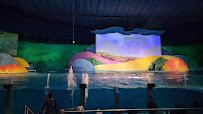 St. Vincent Dolphin Pavilion photo 2