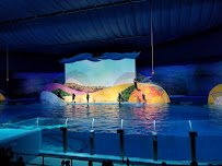 St. Vincent Dolphin Pavilion photo 3