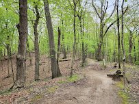 Forest Park Nature Center photo 4