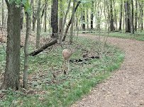 Forest Park Nature Center photo 5