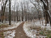 Forest Park Nature Center photo 6