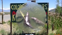 Colorado Gators Reptile Park photo 2