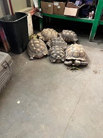 Colorado Gators Reptile Park photo 3