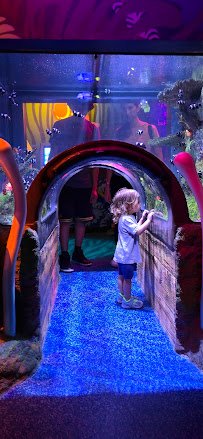 SEA LIFE Kansas City Aquarium photo 5