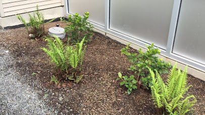 Bellevue Botanical Garden photo 2