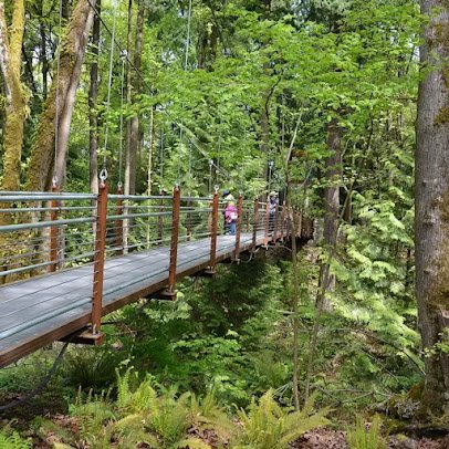 Bellevue Botanical Garden photo 3