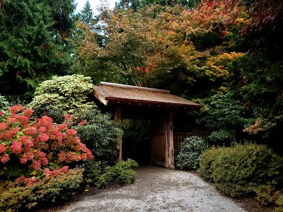 Bellevue Botanical Garden photo 4
