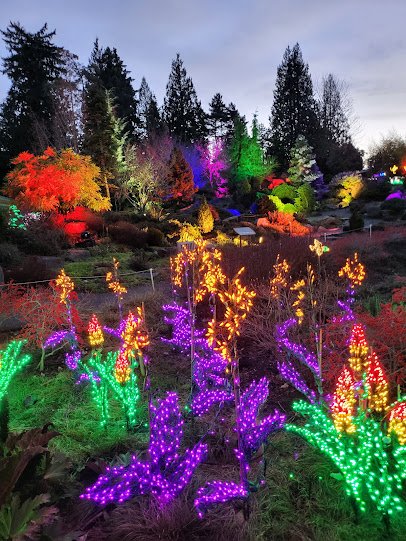 Bellevue Botanical Garden photo 5