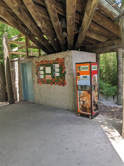 Kimberly-Clark Chimpanzee Forest photo 6
