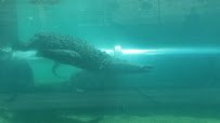 Florida: Mission Everglades photo 2