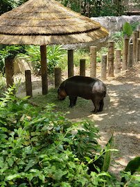 Florida: Mission Everglades photo 4