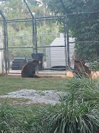 Florida: Mission Everglades photo 6