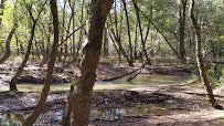 Sandy Creek Nature Center photo 2
