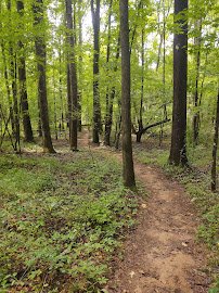 Sandy Creek Nature Center photo 3