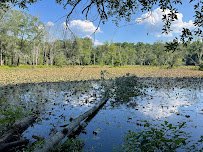 Sandy Creek Nature Center photo 4