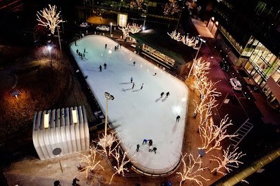 Skate @ Canal District Kendall